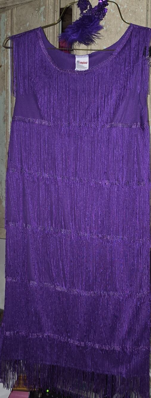 Girl's 1920s Flapper Dress Costume Fringed Dress with Feather Headband 10-12